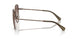 400213 - Brown - Gradient Brown
