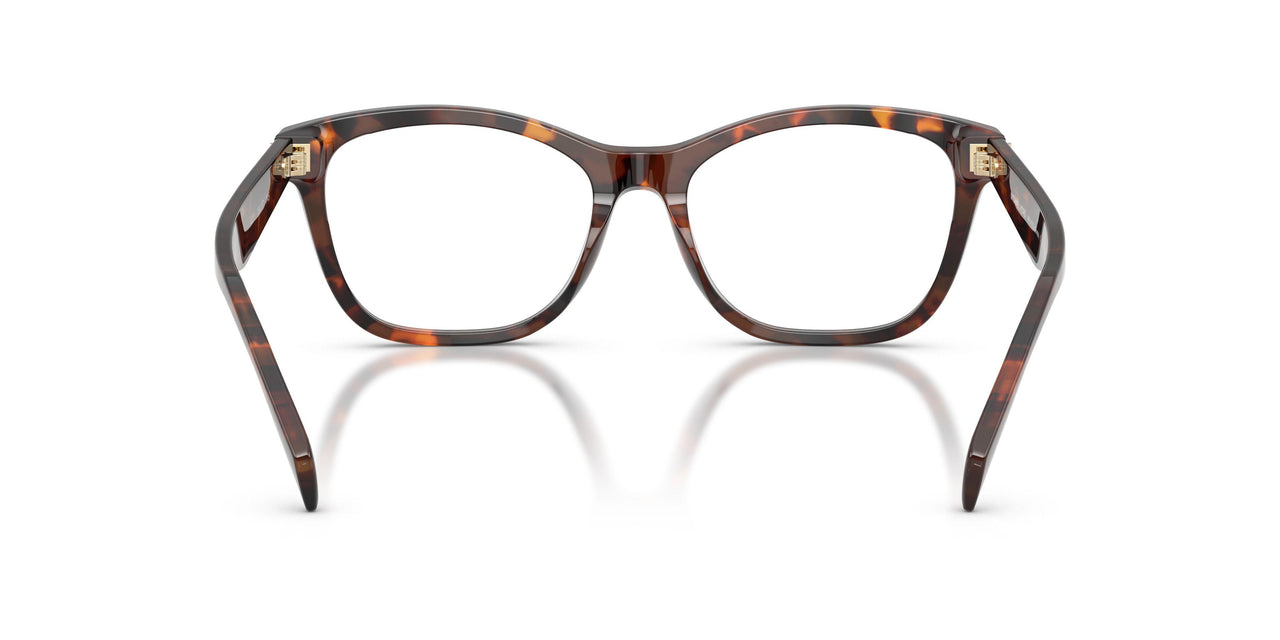 4031 - Tortoise