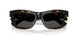 410687 - Tortoise - Dark Grey