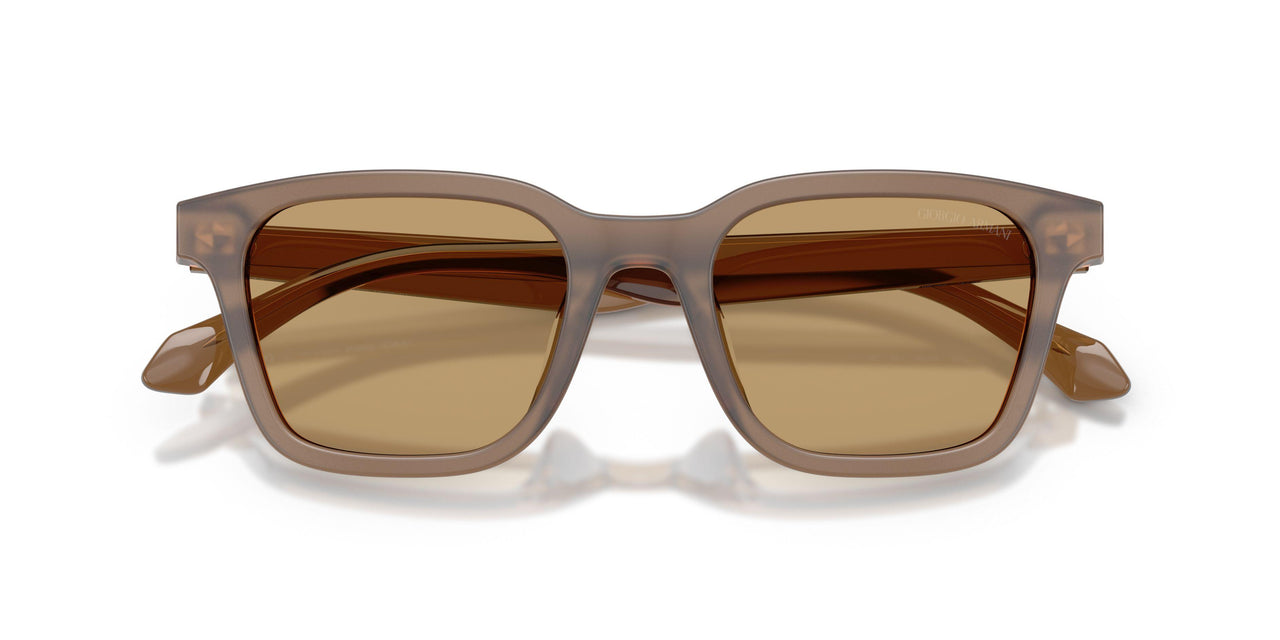 647573 - Brown - Brown