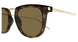 006 - Havana/Gold - Brown