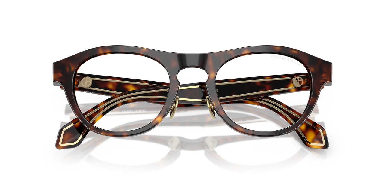 50261W - Tortoise - Clear