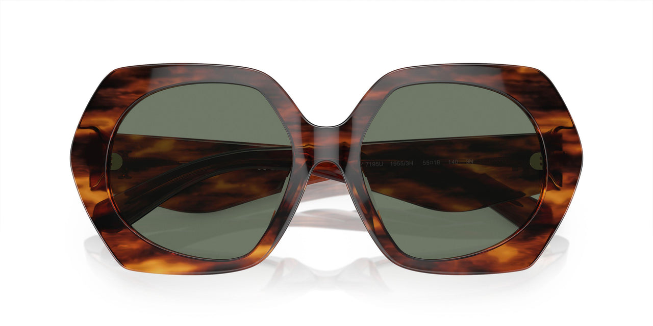 19553H - Brown - Dark Green