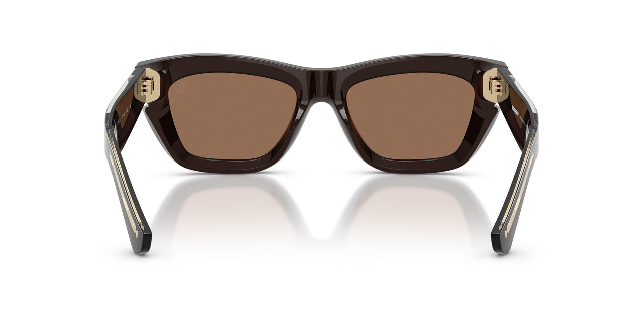 411673 - Brown - Dark Brown