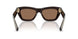 411673 - Brown - Dark Brown