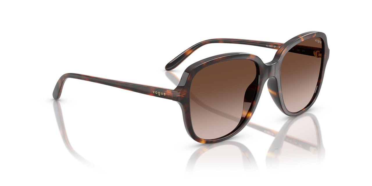 W65613 - Brown - Brown Gradient