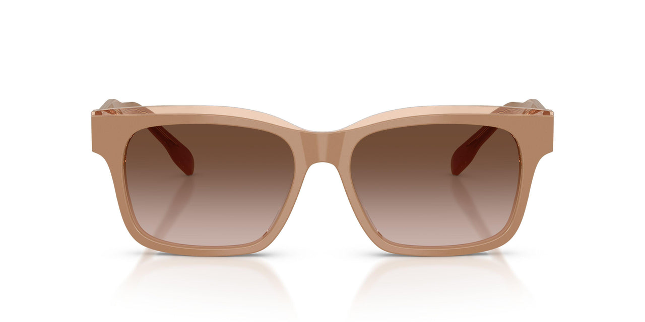 205913 - Brown - Brown Gradient