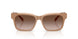 205913 - Brown - Brown Gradient