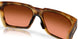 948502 - Brown - Prizm Bronze Gradient
