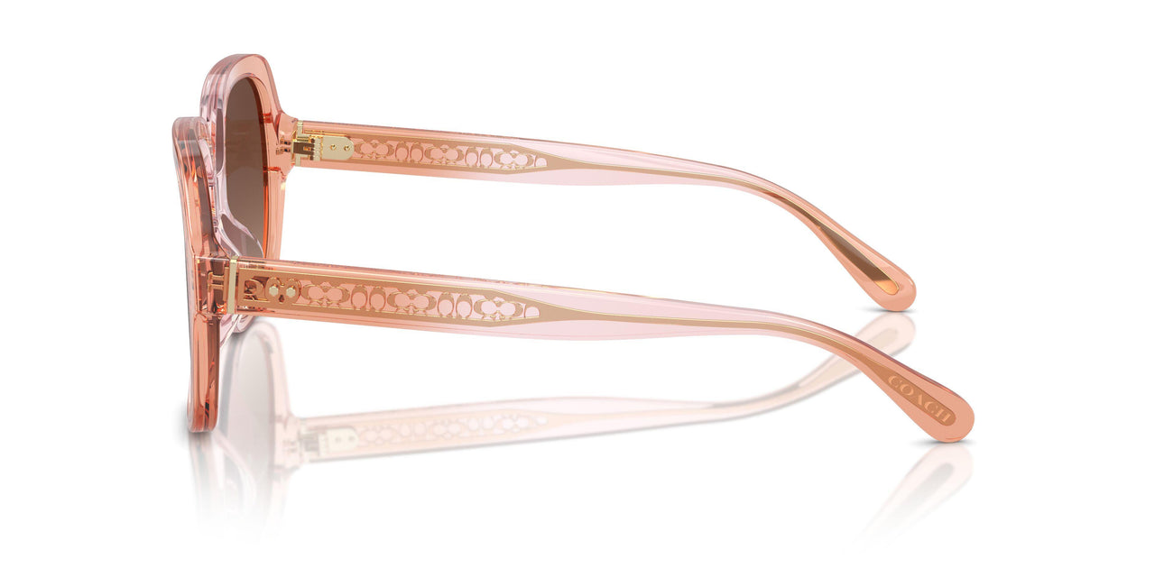 5812T5 - Brown - Brown Gradient Polarized