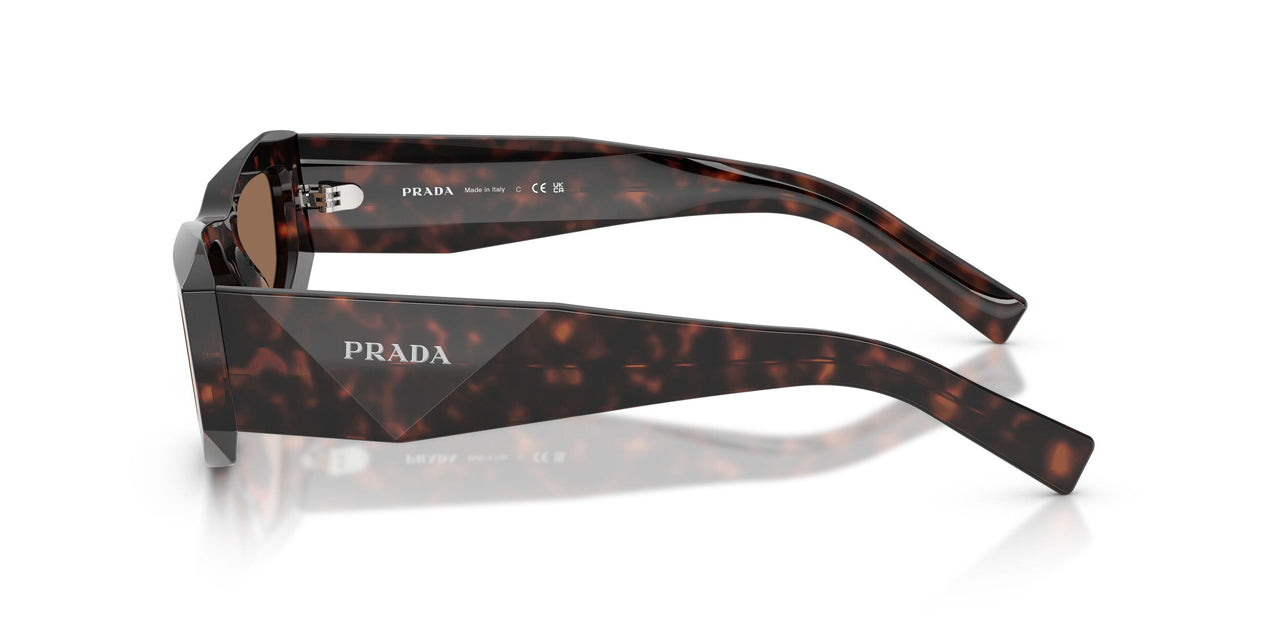 17N06B - Tortoise - Dark Brown