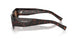 17N06B - Tortoise - Dark Brown
