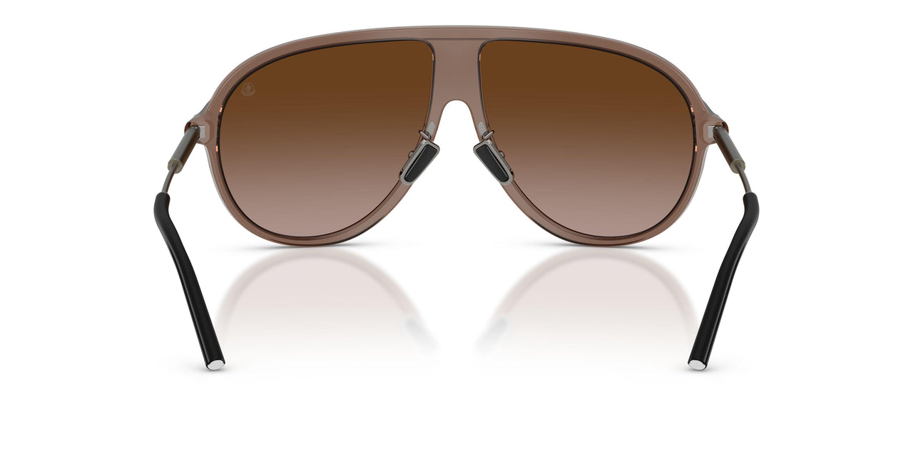 301813 - Brown - Gradient Brown