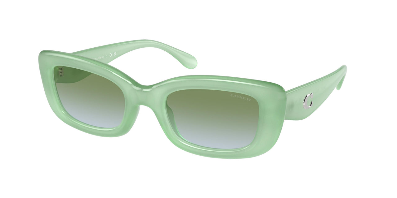 5807I7 - Green - Green Blue Gradient