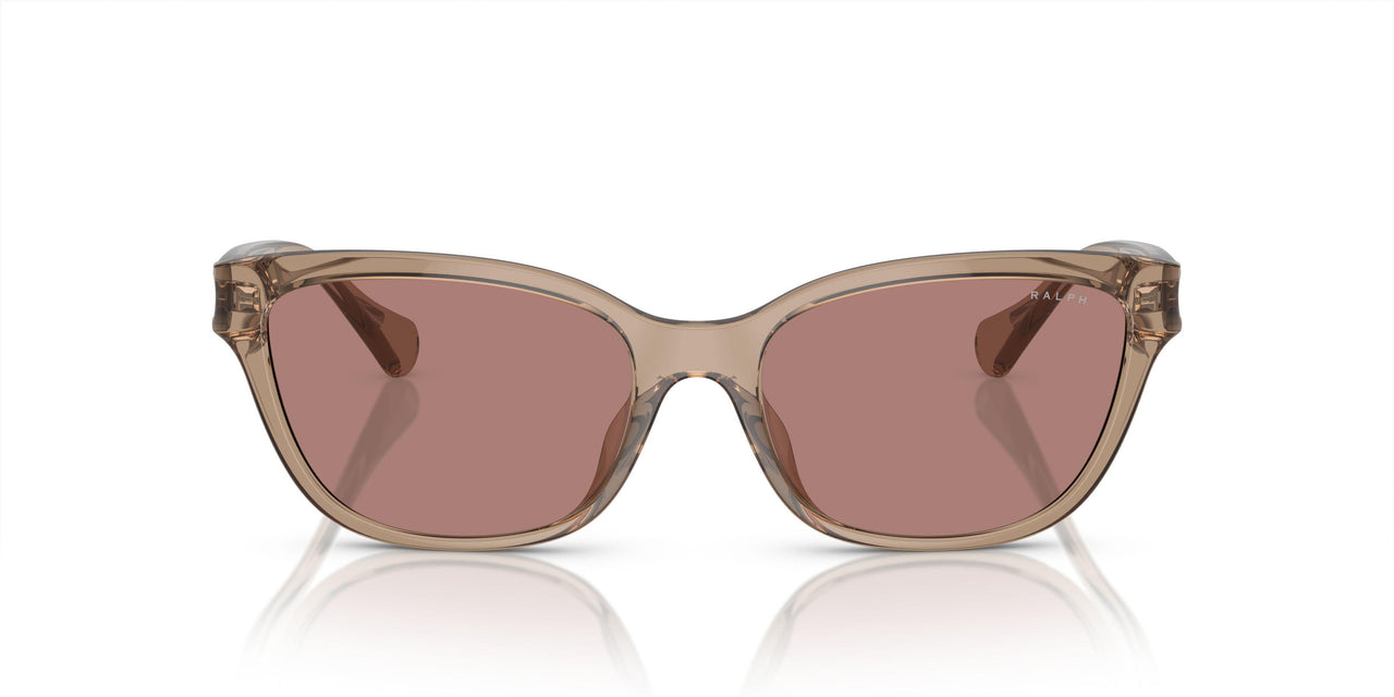 612073 - Transparent - Light Rose Brown