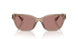 612073 - Transparent - Light Rose Brown