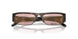 23A91C - Tortoise - Pink Mirror Gold