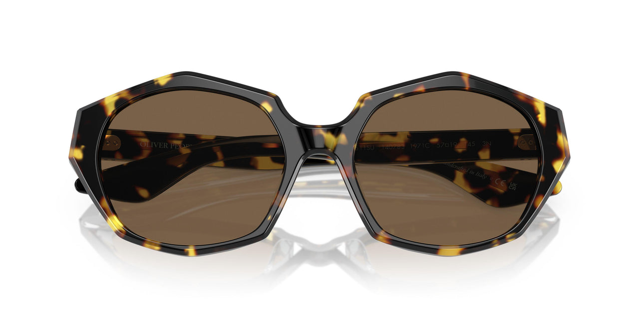 140783 - Tortoise - Brown
