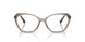 3156 - Brown
