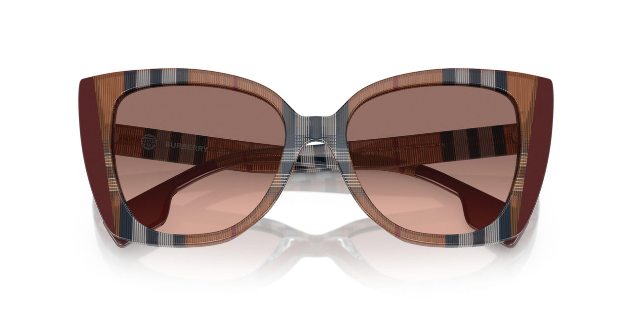 405413 - Brown - Pink Gradient Dark Brown
