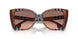405413 - Brown - Pink Gradient Dark Brown