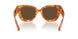 425673 - Tortoise - Dark Brown