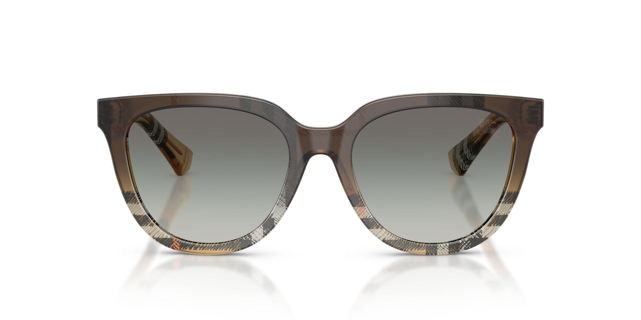 420211 - Brown - Grey Gradient