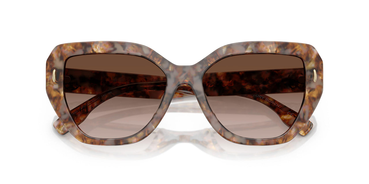197513 - Tortoise - Brown Gradient