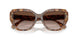 197513 - Tortoise - Brown Gradient