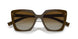 11J6E1 - Green - Polar Brown Gradient