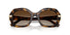 W65613 - Brown - Gradient Brown