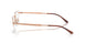 1245 - Copper - Demo Bio