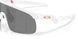 901030 - White - Prizm Black