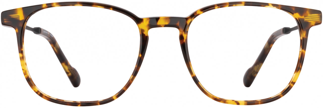 3 - Tortoise / Antique Gold