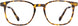 3 - Tortoise / Antique Gold