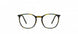 5530 - Havanna Pine Green