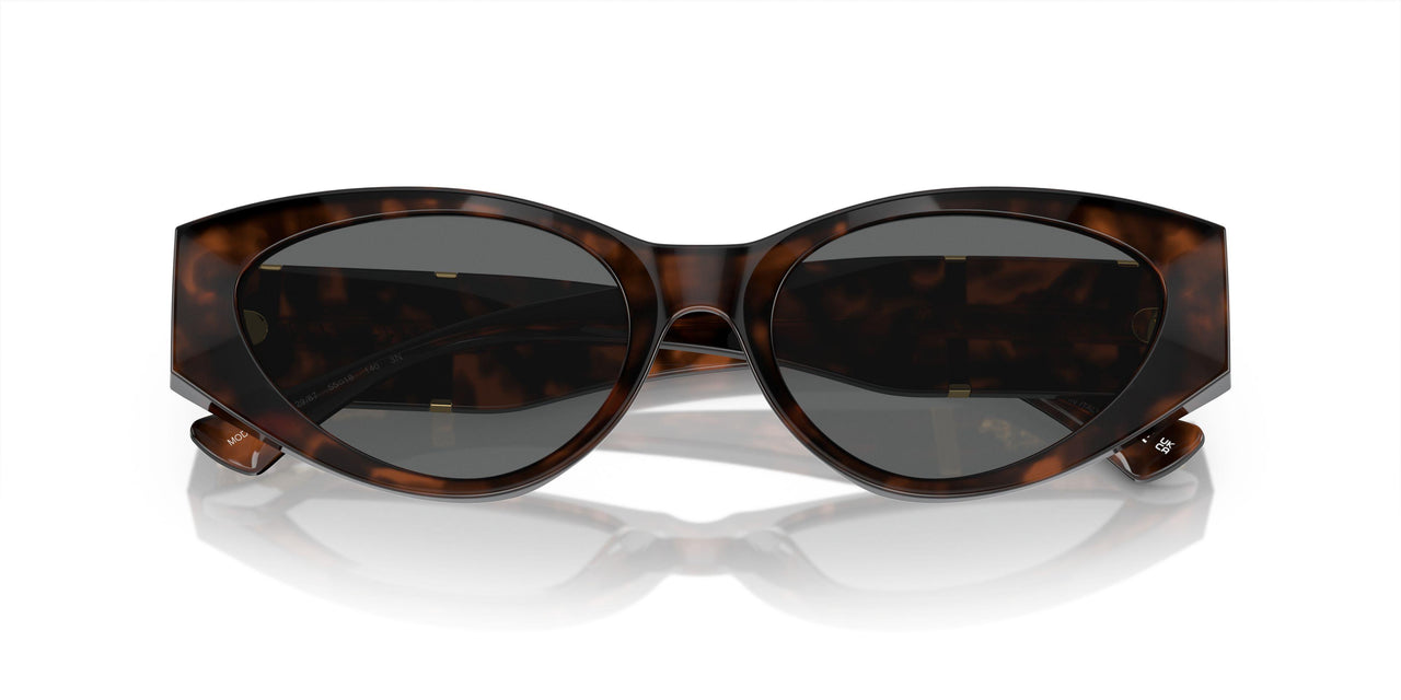 542987 - Tortoise - Dark Grey