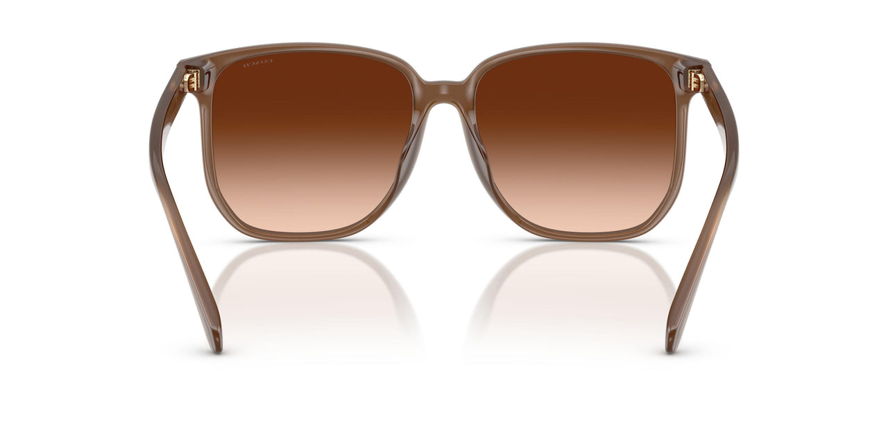 580874 - Brown - Brown Gradient