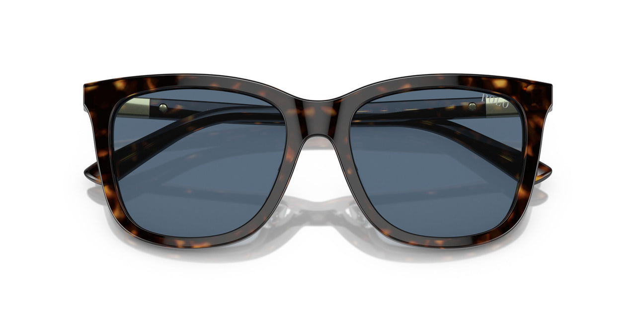 500380 - Brown - Blue