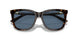 500380 - Brown - Blue
