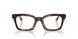 5026 - Tortoise