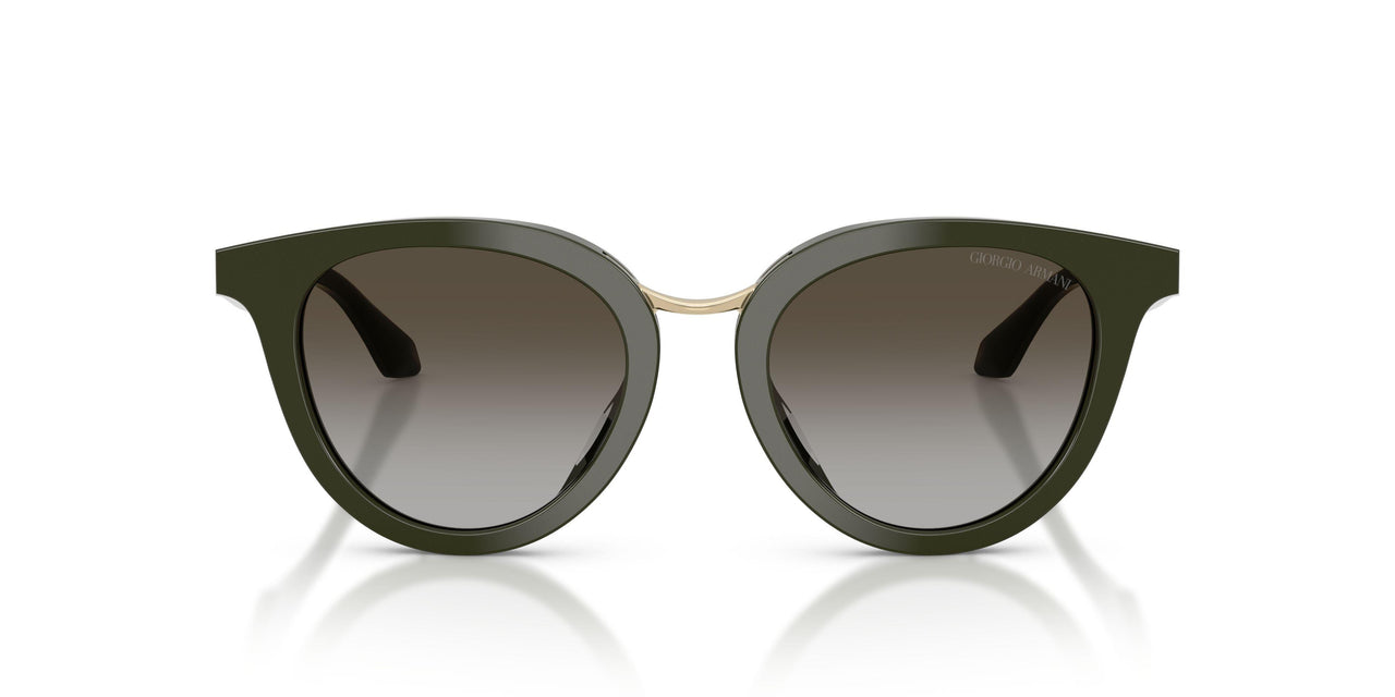 640013 - Green - Grey Gradient Brown