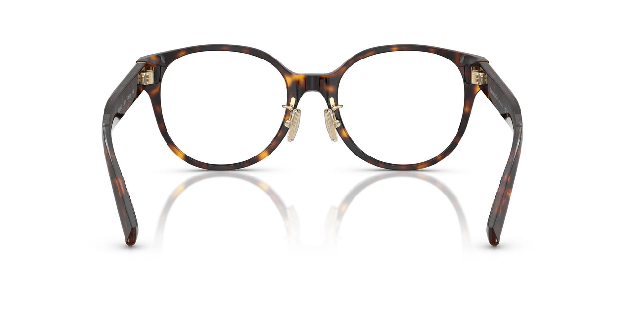 8015 - Tortoise