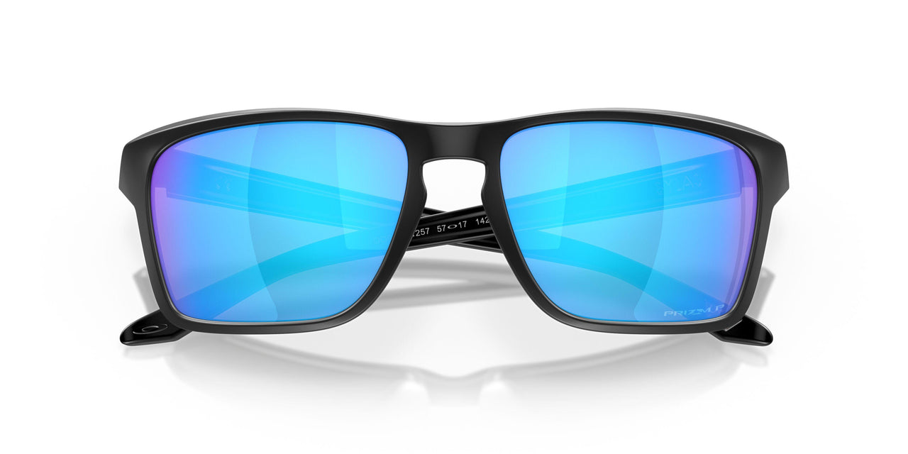944812 - Black - Prizm Sapphire Polar