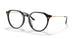 W656 - Brown