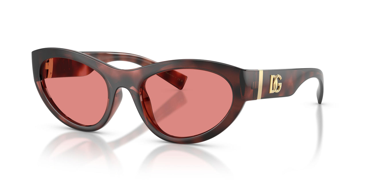 347684 - Tortoise - Pink