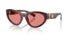 347684 - Tortoise - Pink