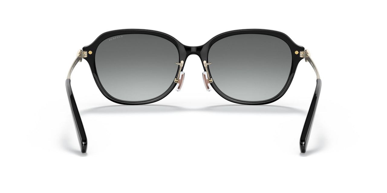 500211 - Black - Grey Gradient