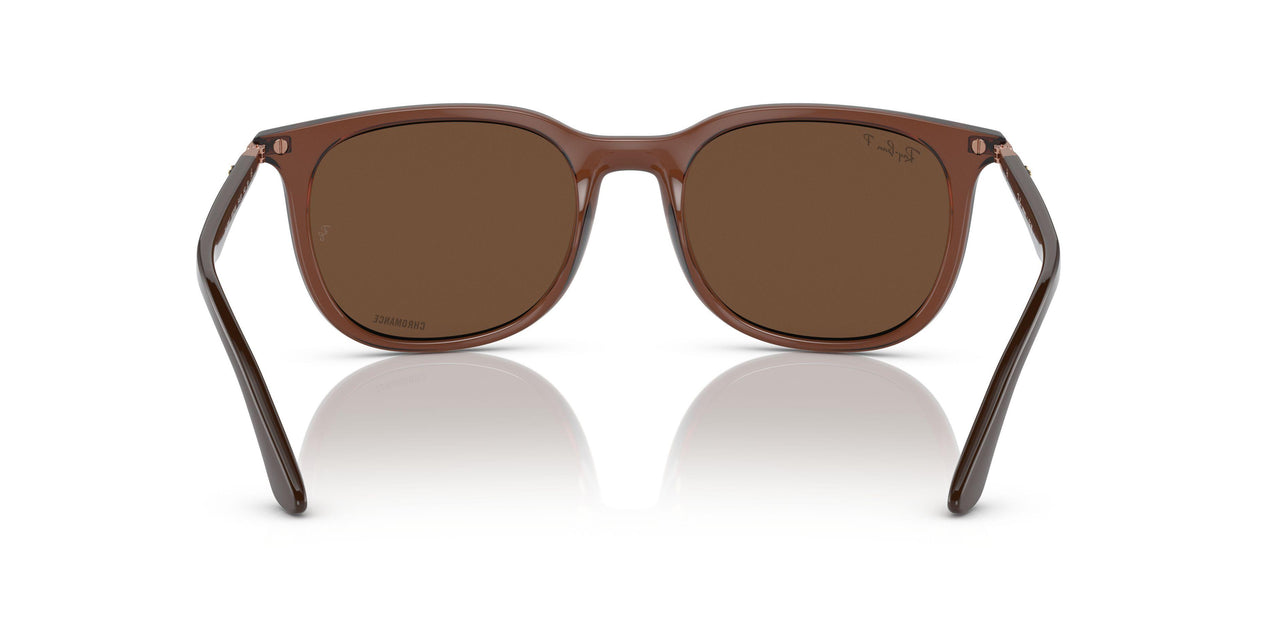6652AN - Light Brown - Polar Brown
