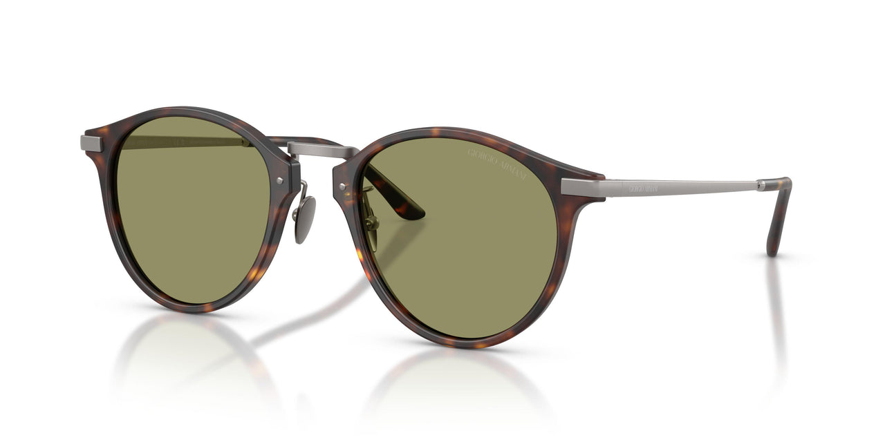 640353 - Tortoise - Green